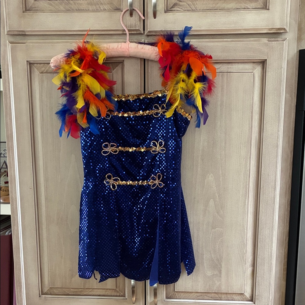 Curtain Call Sparkling Blue Kids Costume with Colorful Feather Accents